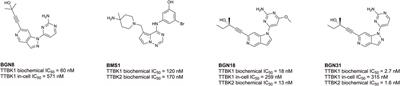 Illumination of understudied ciliary kinases